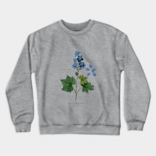 19th Century Flower Illustration by Maxim Gauci Crewneck Sweatshirt